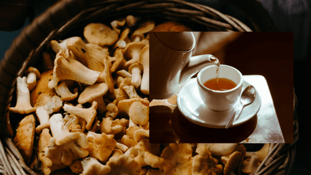 How To Make Shroom Tea: The Simple And Easy Way